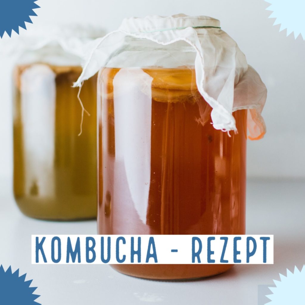 Kombucha Rezept