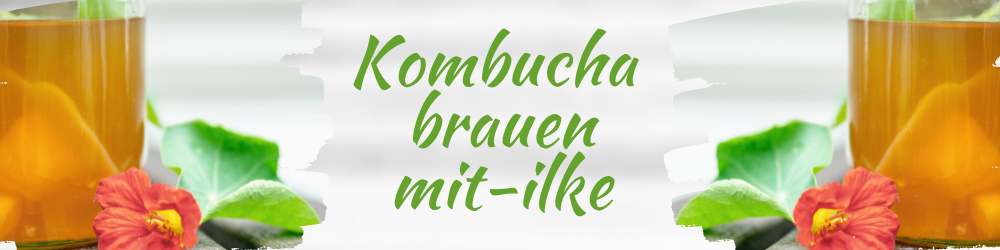 Kombucha Kurs mit-ilke