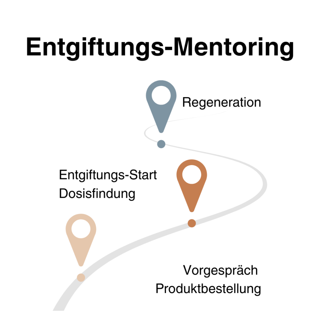 Entgiftung bei Multiple Sklerose Detox Mentoring Leitfaden 2